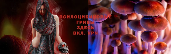 марки nbome Инта
